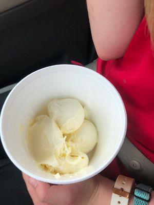 Large size vanilla custard