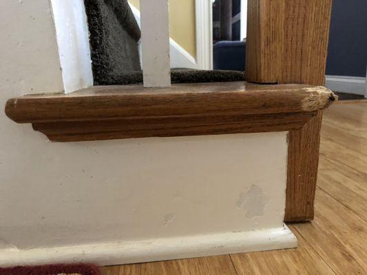 Replace damage chewed steps