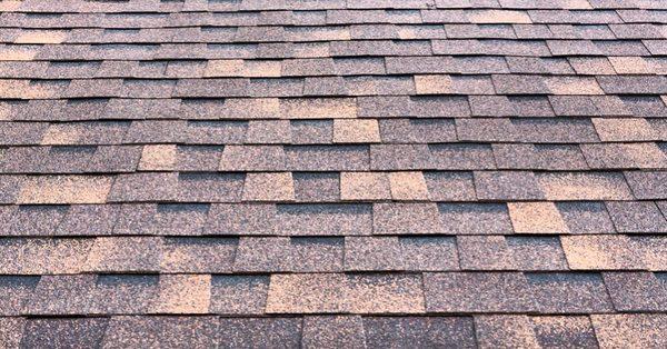 Quality Shingles