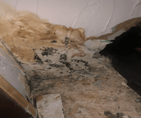 Water Damage Austin