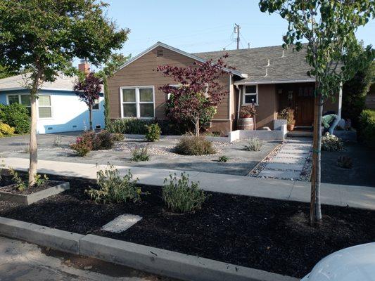 With pavers, concrete and new drought tolerant plants, the yard is now easy to maintain and beautiful.