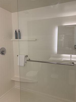 Shower with only shampoo and conditioner. Love how the faucet is at the entrance of shower and not below shower head. Genius!