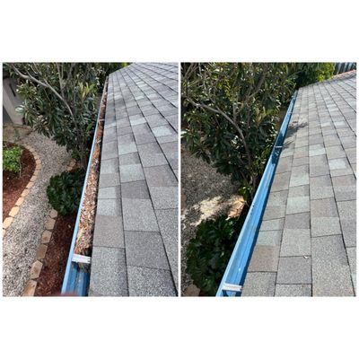 Gutter cleaning