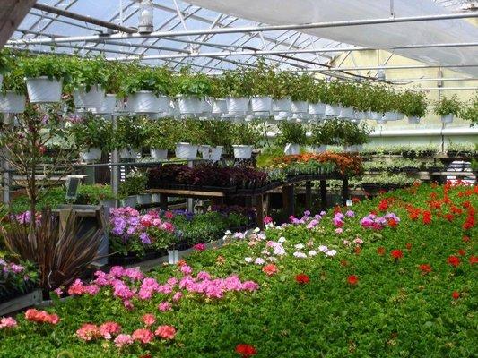 Plantworld Greenhouse and Florist