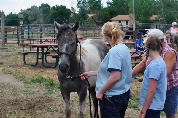 This horse was saved a little over a year ago when she was very young.  Look how she's grown!  She's ornery, too.