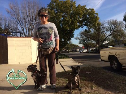 We have helped this wonderful dog walker with a number of her clients.  They have all been very reactive leash pullers.