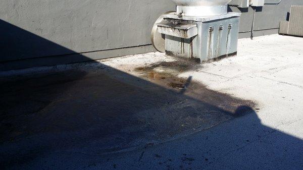 We empty your grease overflow container to keep grease off your roof!