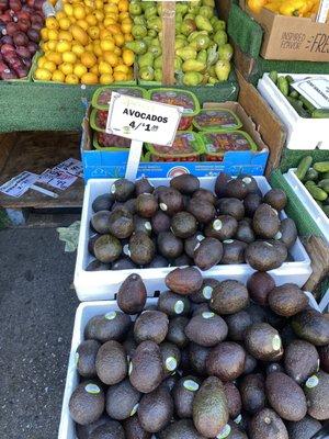 Blue Ribbon Fruit Store