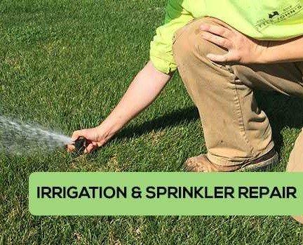 Sprinkler / Irrigation Service & Review