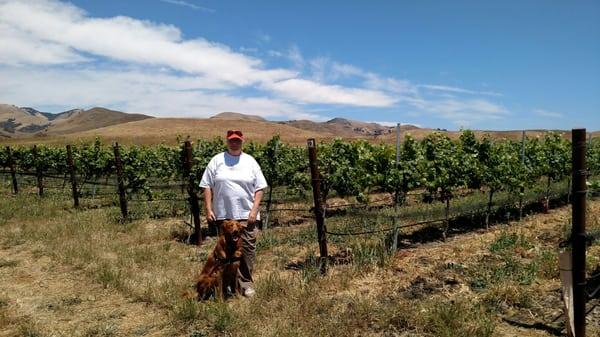 One of my favorite clients on a walk in The Vineyards