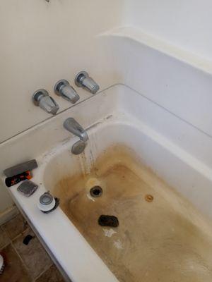 Bathtub before pic.