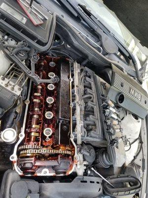 2003 BMW  valve cover gasket, sparkplug replacement.