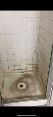 Deep cleaning on a shower