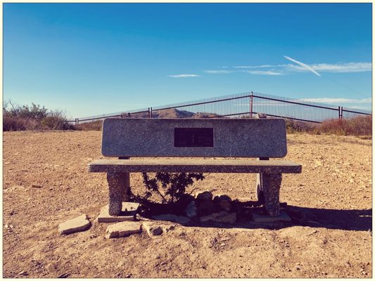 Rest bench dedicated by a group of women.