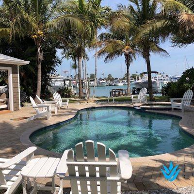 Beautiful Backyard Landscape in Clearwater Beach, FL With Coconut Palms