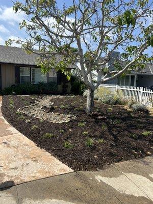 Succulents ,mulch and river rocks