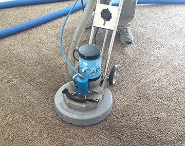 If you have messy carpets from pets or just regular foot traffic we can help get them clean.