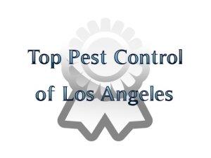 Phone Top Pest Control of Los Angeles Today!