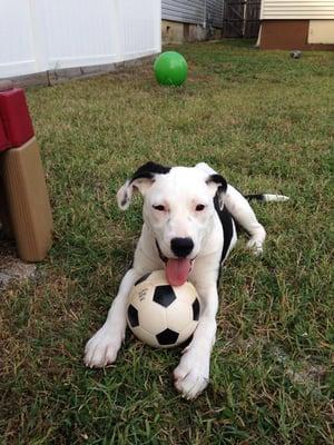 Lola loves to play soccer.