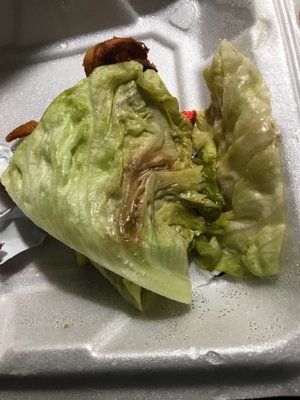 Why my lettuce look like it was wounded in the war?