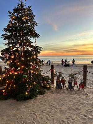 Crystal Cove Beach Cottages