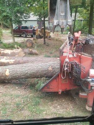 Chipping logs, grinding stump