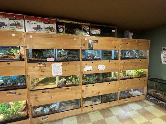 The reptile room.