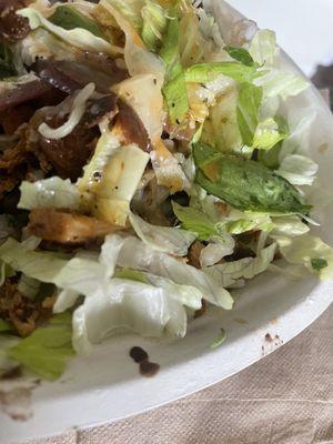 A green live worm on my salad bowl!