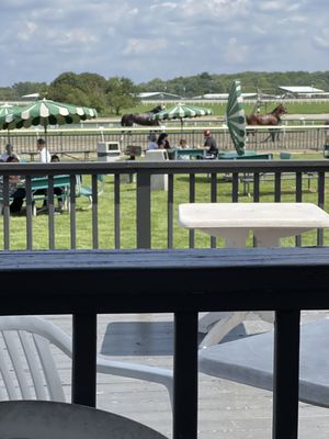 Horses being walked after race