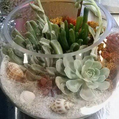 **NOT FOR SALE** My creation in the terrarium class. Thanks Succs For You!