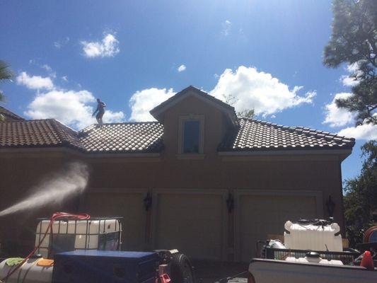 Roof Cleaning