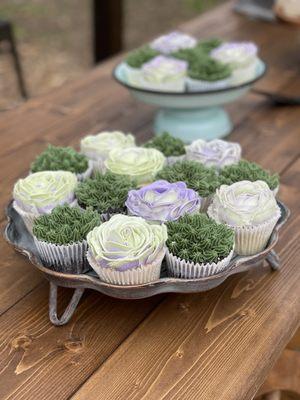 Succulent Cupcakes