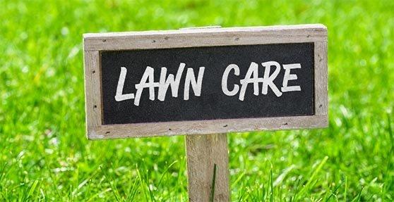 Premium Lawn Care