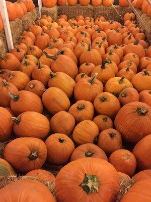 Pumpkins