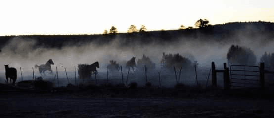 Western Legends Ranch