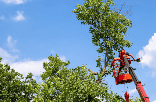 Magnolia River Excavation & Landscaping