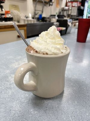 Hot chocolate with whipped cream.