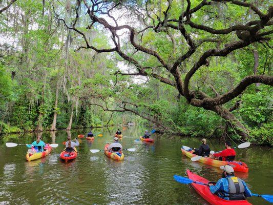 Paddling through the Dora Canal