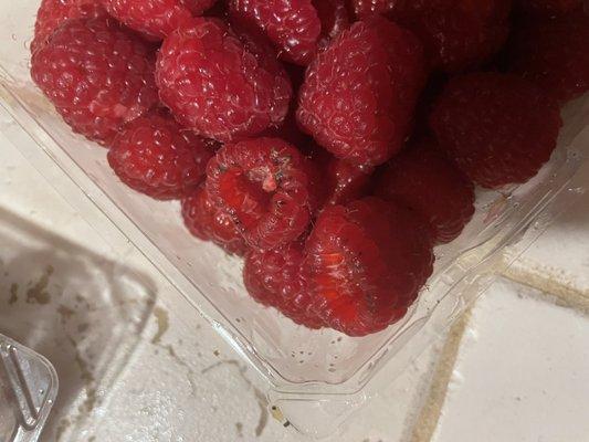 Moldy raspberries