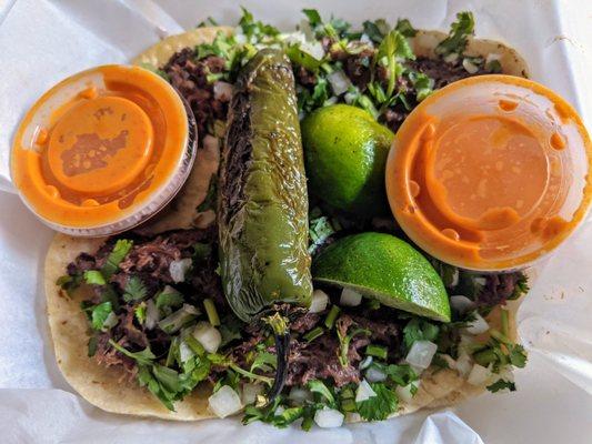 Barbacoa tacos with house-made salsa