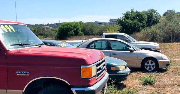 Some cars for sale on our property.