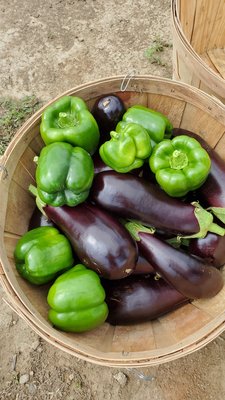 You pick the vegetables.  The workers and owner very friendly. Thank you for hospitality