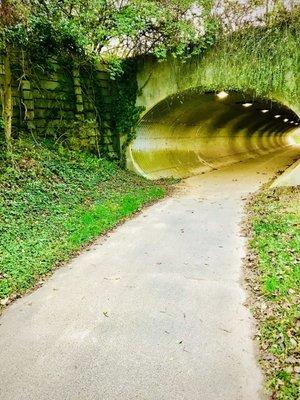 Trail Tunnel at Route 193