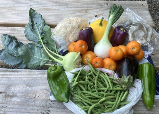 Homegrown Fresh Produce from three different vendors.