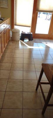 Floors at this home were in the kitchen and  dining area. It's hard to believe that this client has 3 large dogs.