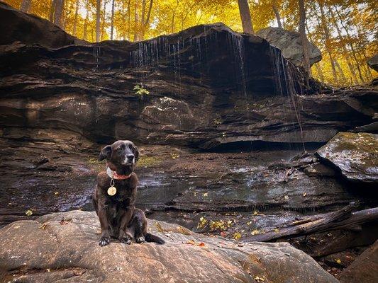 Emory Gap Waterfall (low water level)