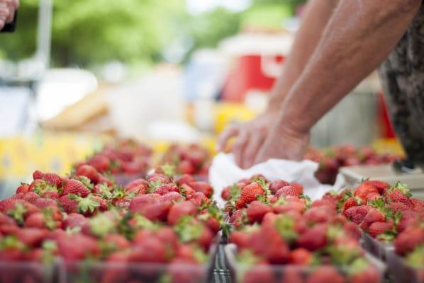 We love strawberry season! Here's Randy of T5-Farms bagging some up!