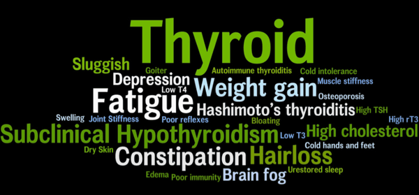 Hypothyroid, Hashimoto's Thyroiditis, Fatigue