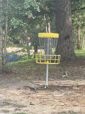 Disc Golf