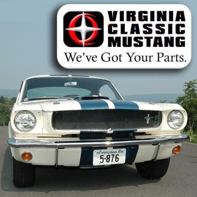 Virginia Classic Mustang